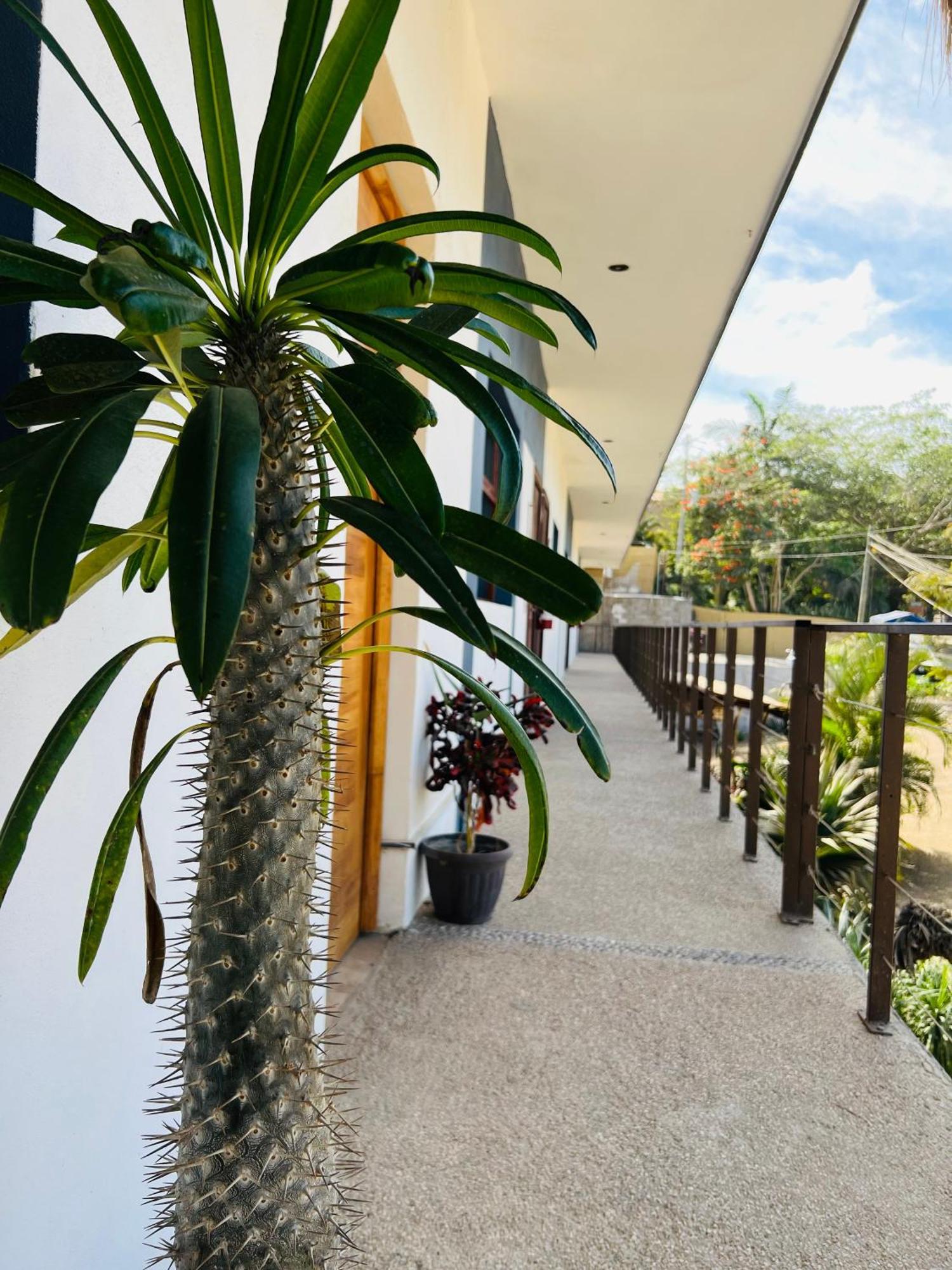 Hotel Samanu Sayulita Eksteriør bilde